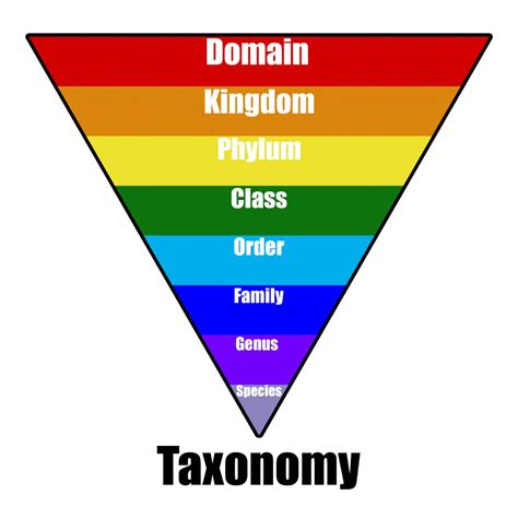 Taxonomy 363a00000x. Things To Know About Taxonomy 363a00000x. 